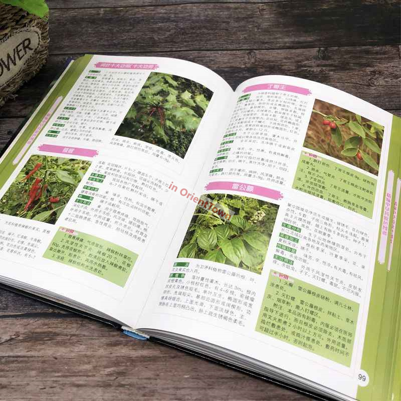 400 Common Herbal Plants Flavo - Herbal Wellness Book incelemesi ve fiyatı