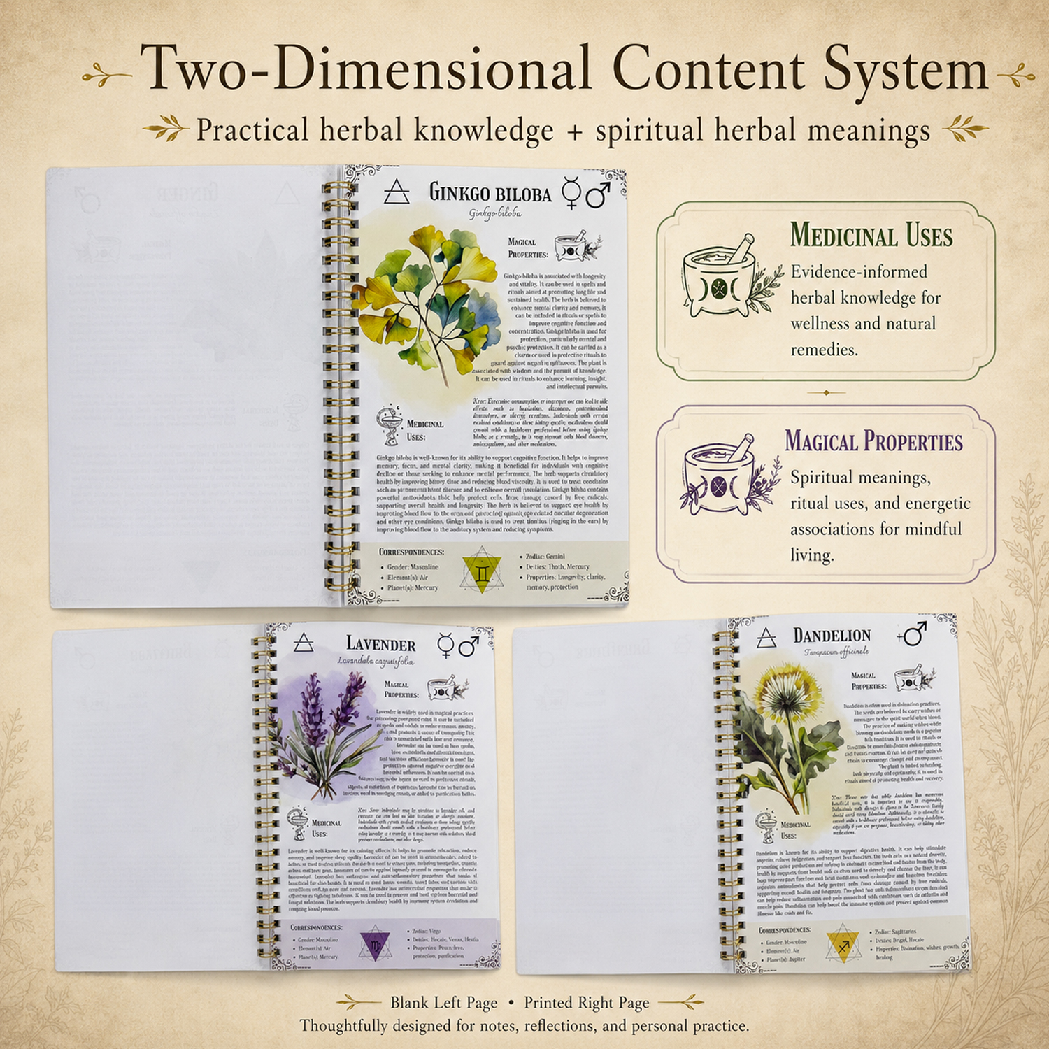 1Pc Spiral Bound Holistic Well - Herbal Holistic Wellness incelemesi ve fiyatı