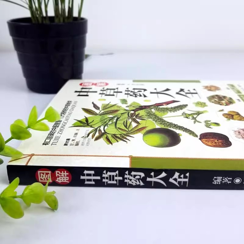 The Ancient Herbarium Holistic - Herbal Holistic Wellness incelemesi ve fiyatı