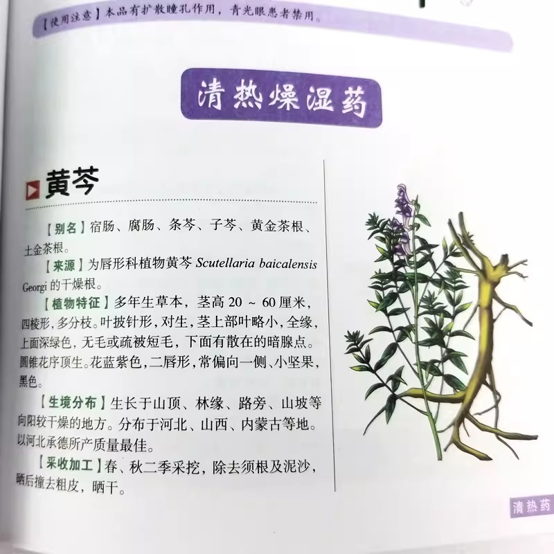 The Ancient Herbarium Holistic - Herbal Holistic Wellness incelemesi ve fiyatı